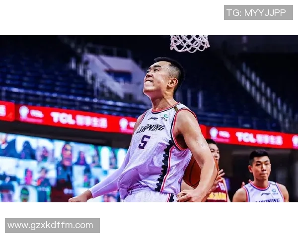 韩德君：从篮球新星到职业生涯巅峰的奋斗历程与荣耀时刻