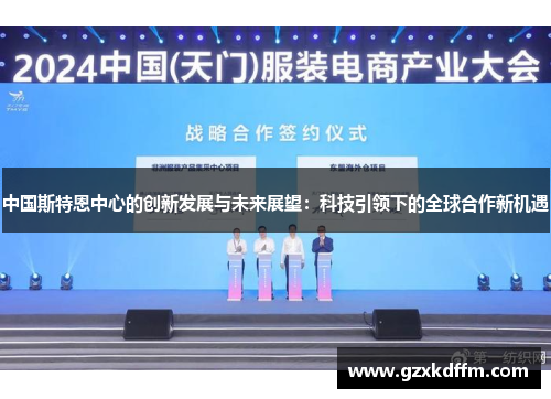 中国斯特恩中心的创新发展与未来展望：科技引领下的全球合作新机遇
