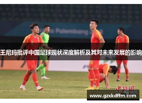 王尼玛批评中国足球现状深度解析及其对未来发展的影响
