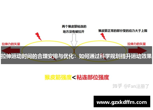 拉伸运动时间的合理安排与优化：如何通过科学规划提升运动效果