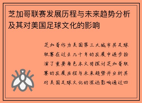 芝加哥联赛发展历程与未来趋势分析及其对美国足球文化的影响