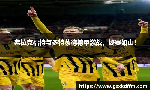 弗拉克福特与多特蒙德德甲激战，终赛如山！