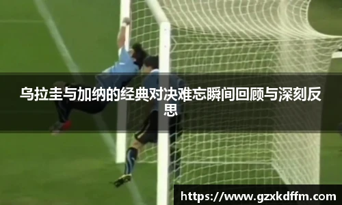 BD半岛官方网址